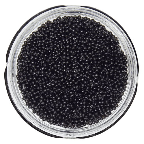 ІКРА ВЕСЛОНОСА